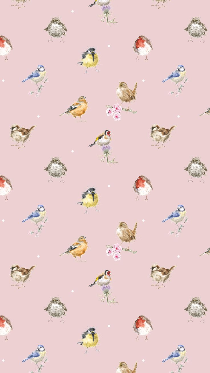 Bird Phone Wallpapers