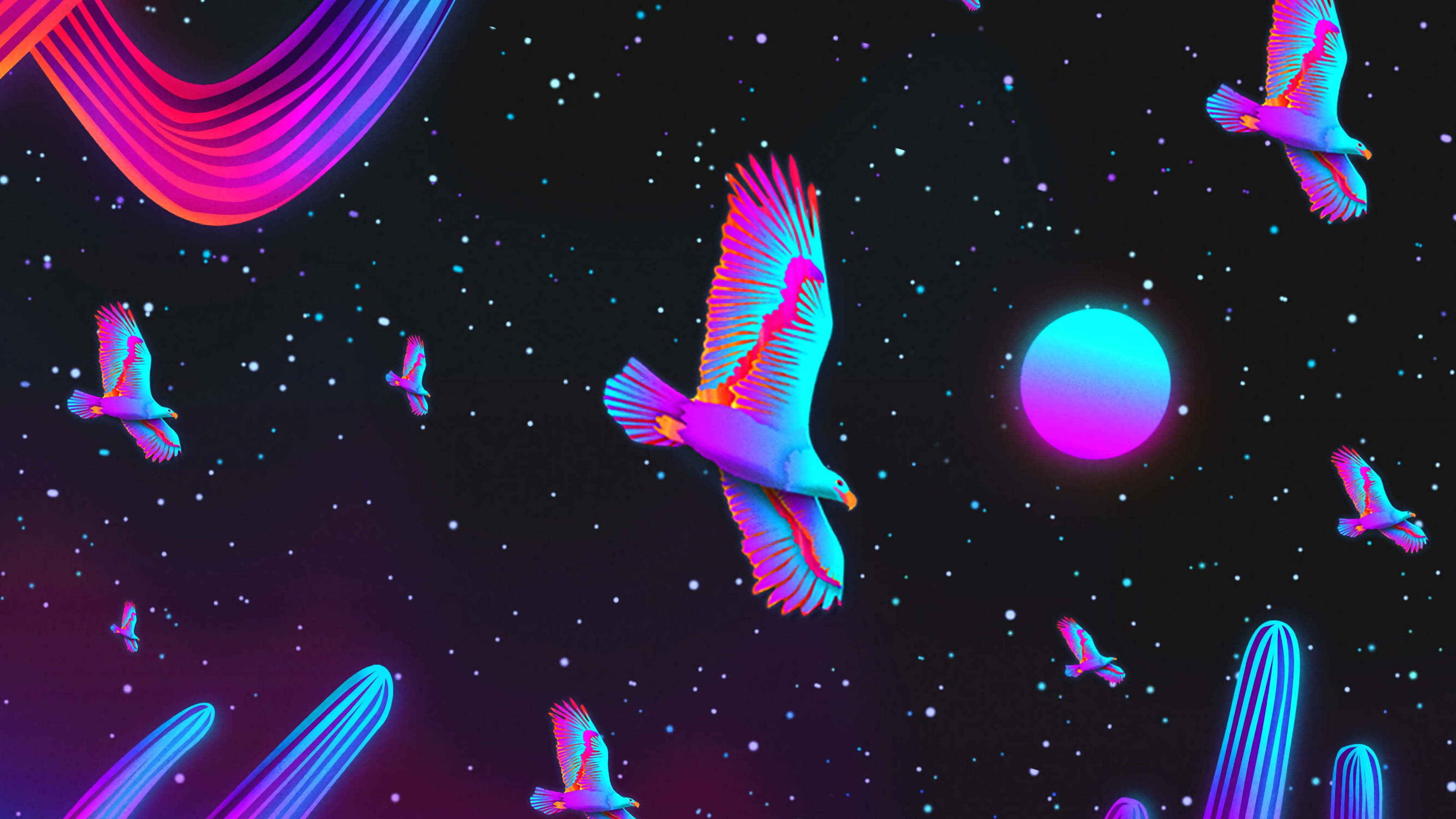 Birds Aesthetic Wallpapers