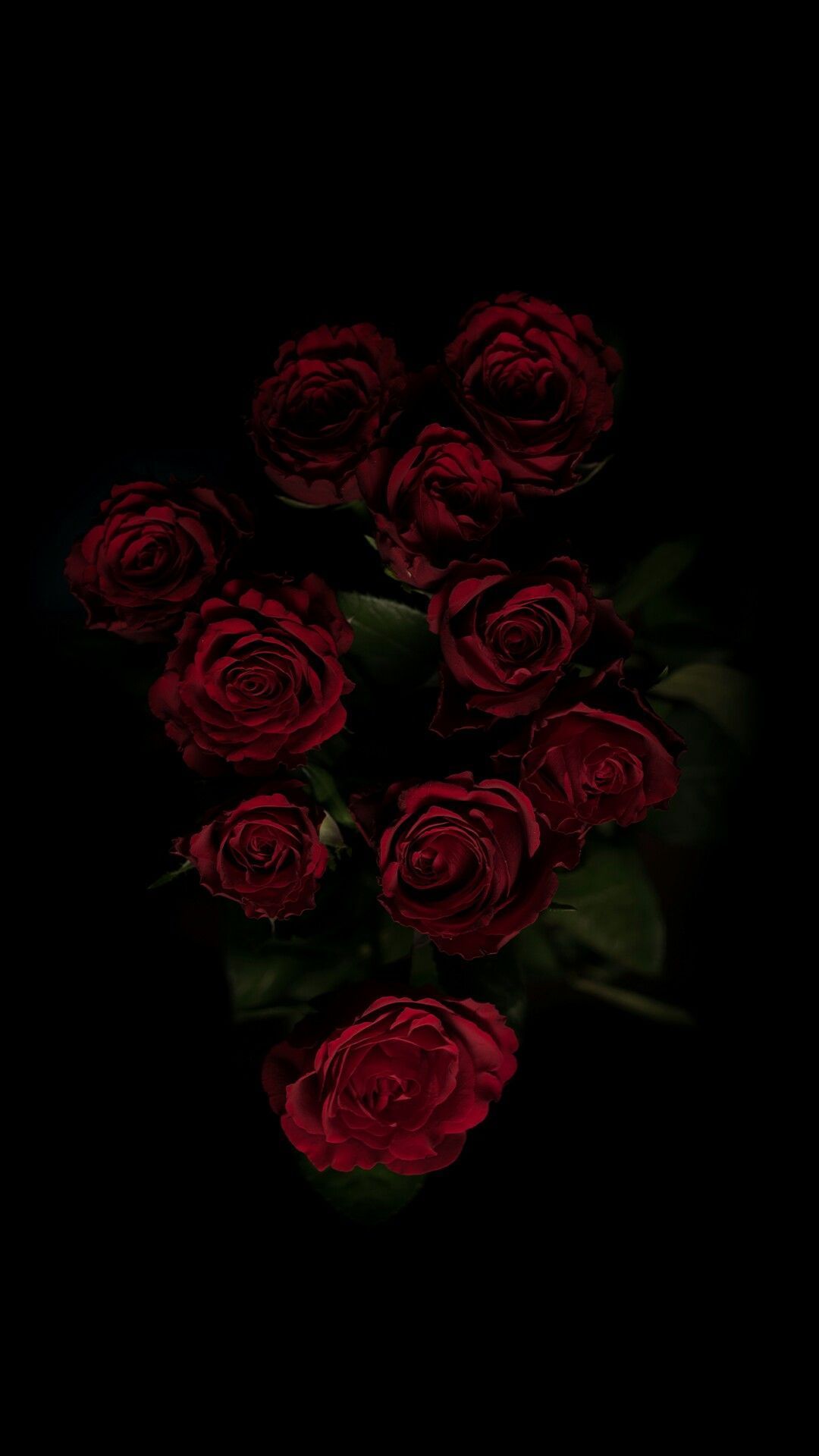 Black And Red Rose Wallpapers