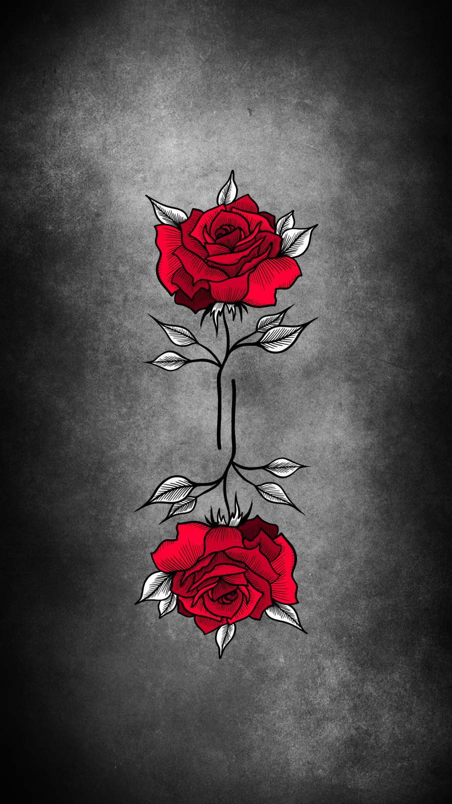 Black And Red Rose Wallpapers