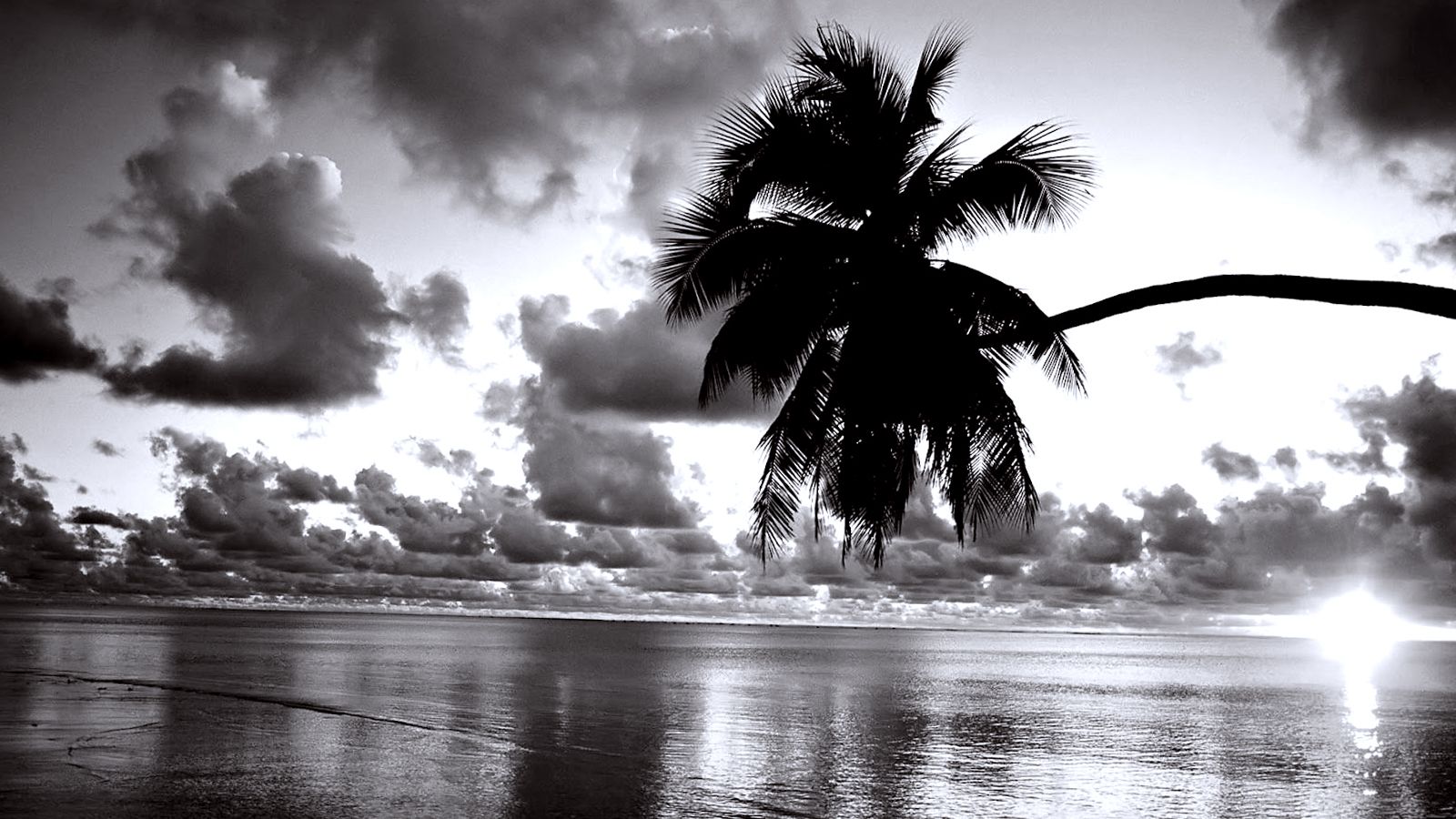 Black And White Beach Wallpapers