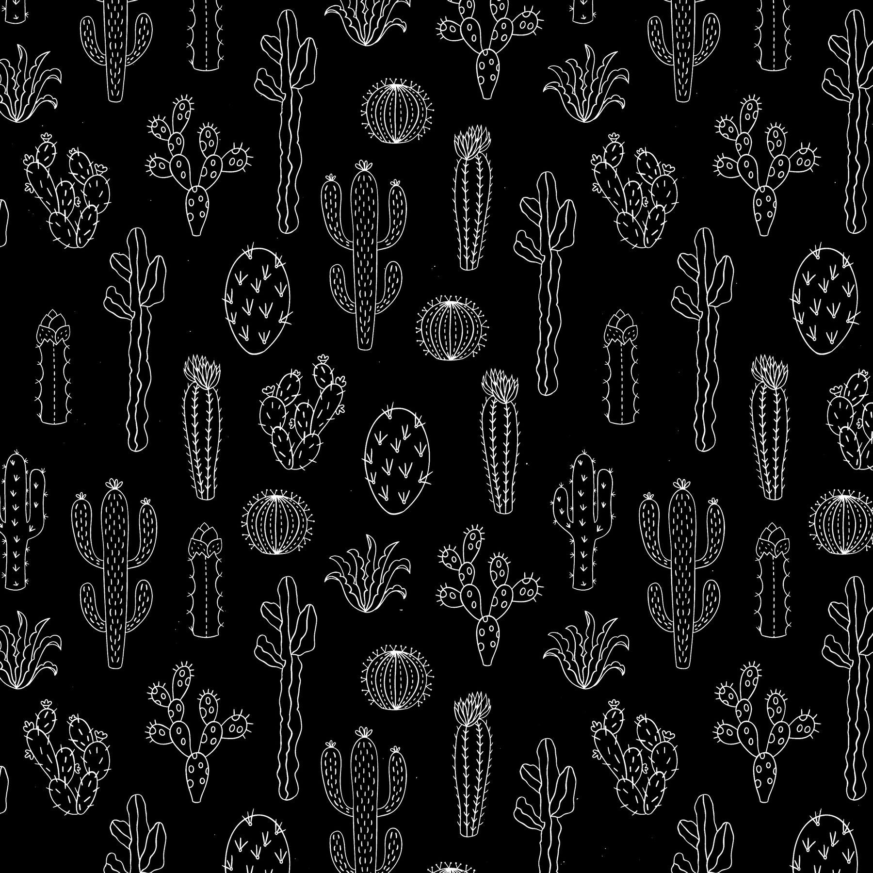 Black And White Cactus Wallpapers