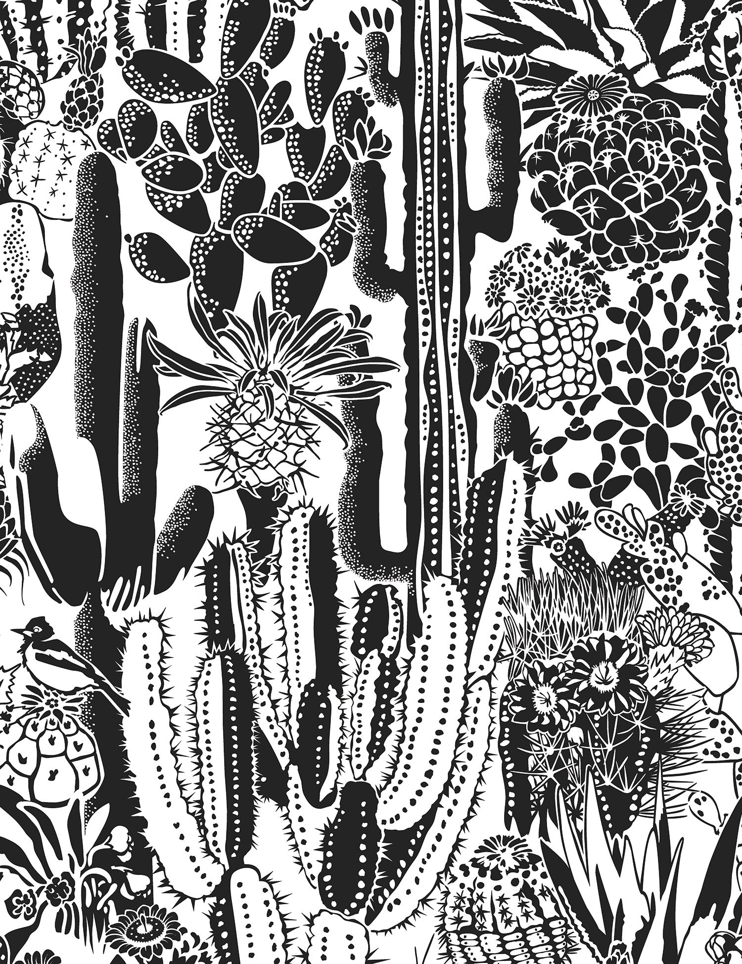 Black And White Cactus Wallpapers