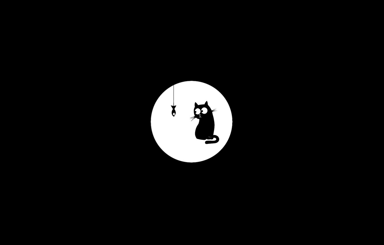 Black And White Cat Wallpapers