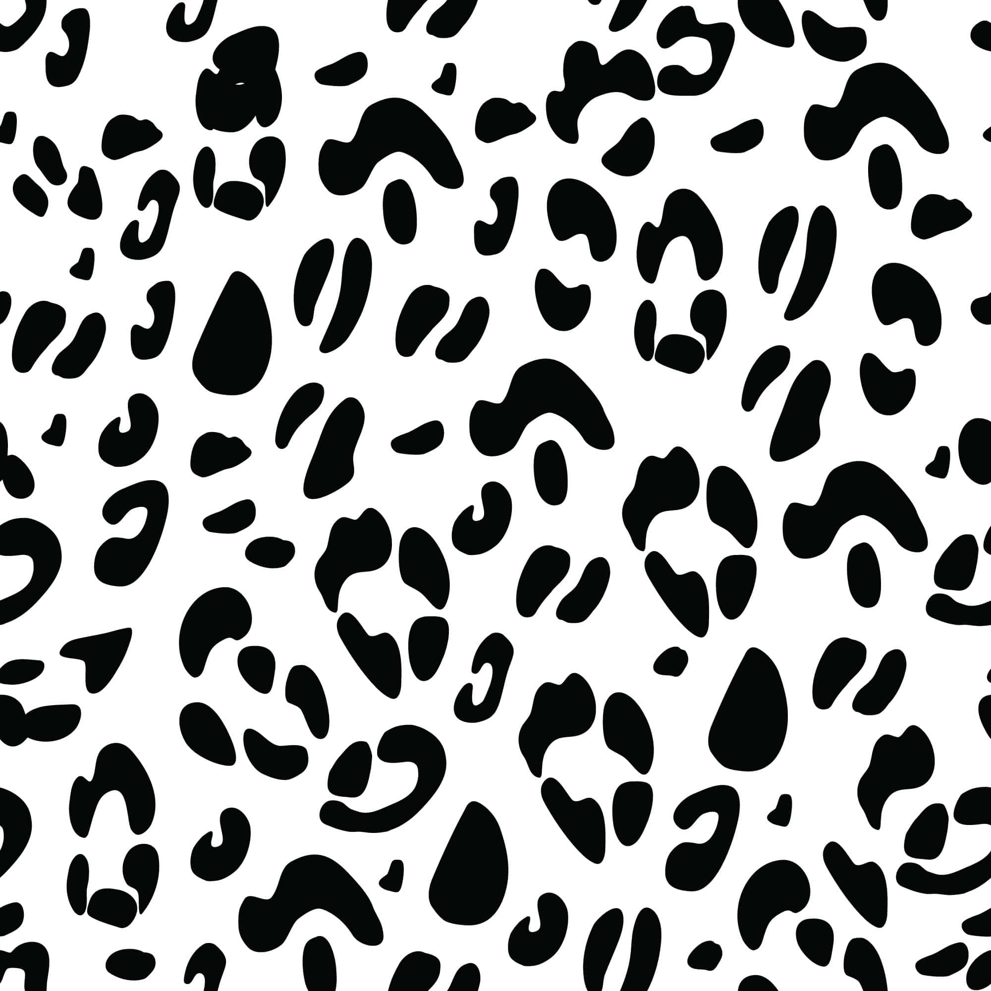 Black And White Cheetah Wallpapers