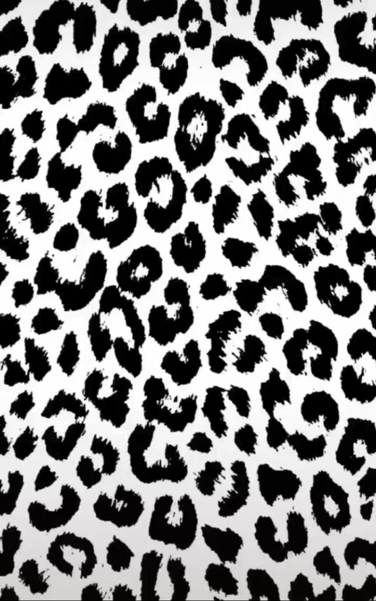 Black And White Cheetah Wallpapers