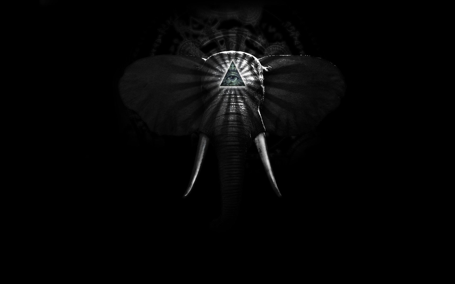 Black And White Elephant Wallpapers