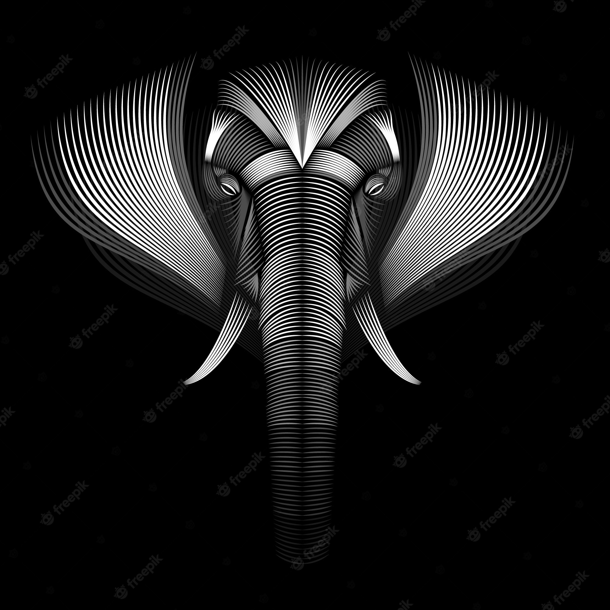 Black And White Elephant Wallpapers