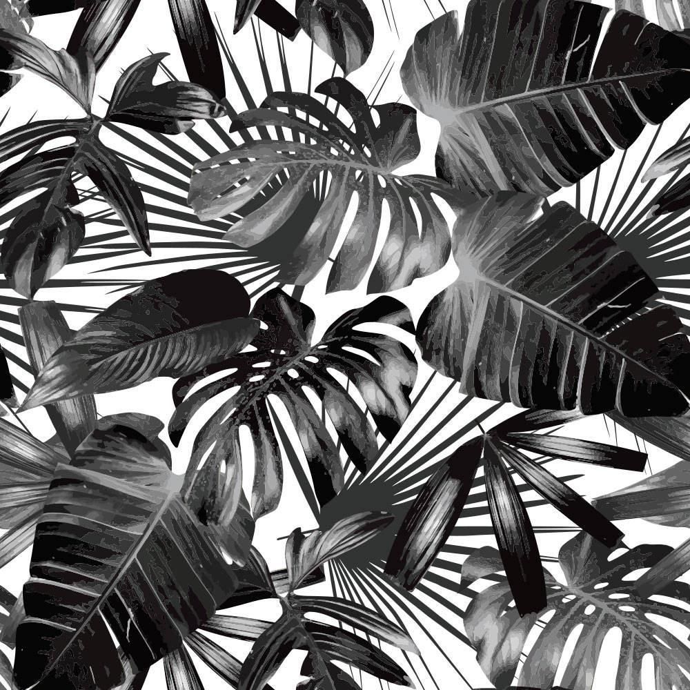 Black And White Palm Tree Wallpapers