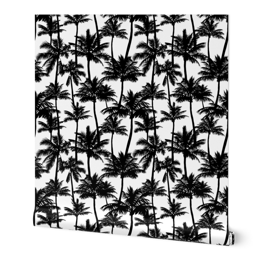 Black And White Palm Tree Wallpapers