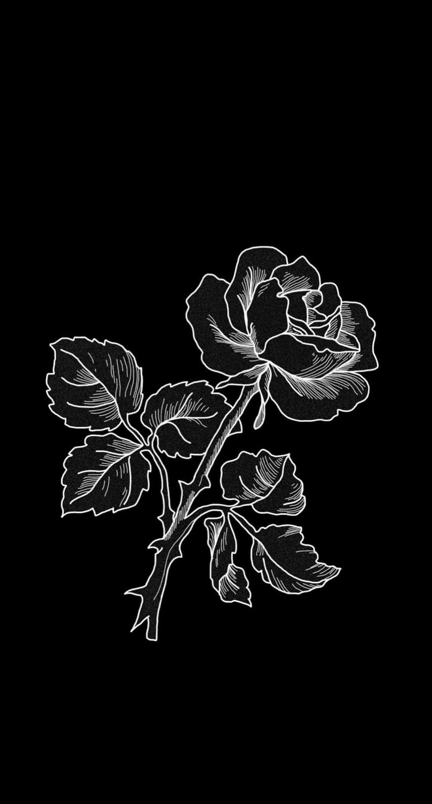 Black And White Rose Drawing Wallpapers