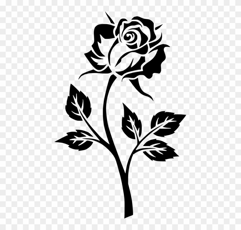 Black And White Rose Drawing Wallpapers