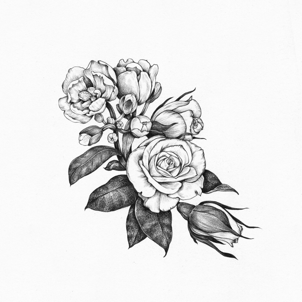 Black And White Rose Drawing Wallpapers