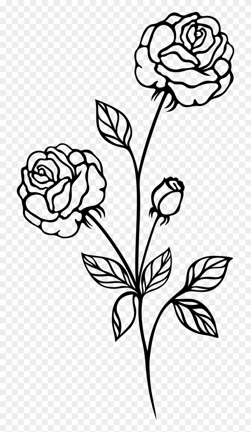 Black And White Rose Drawing Wallpapers