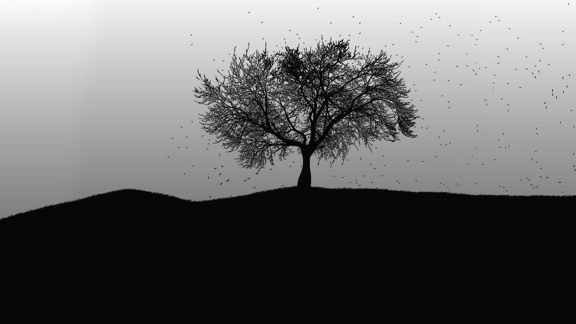 Black And White Tree Wallpapers