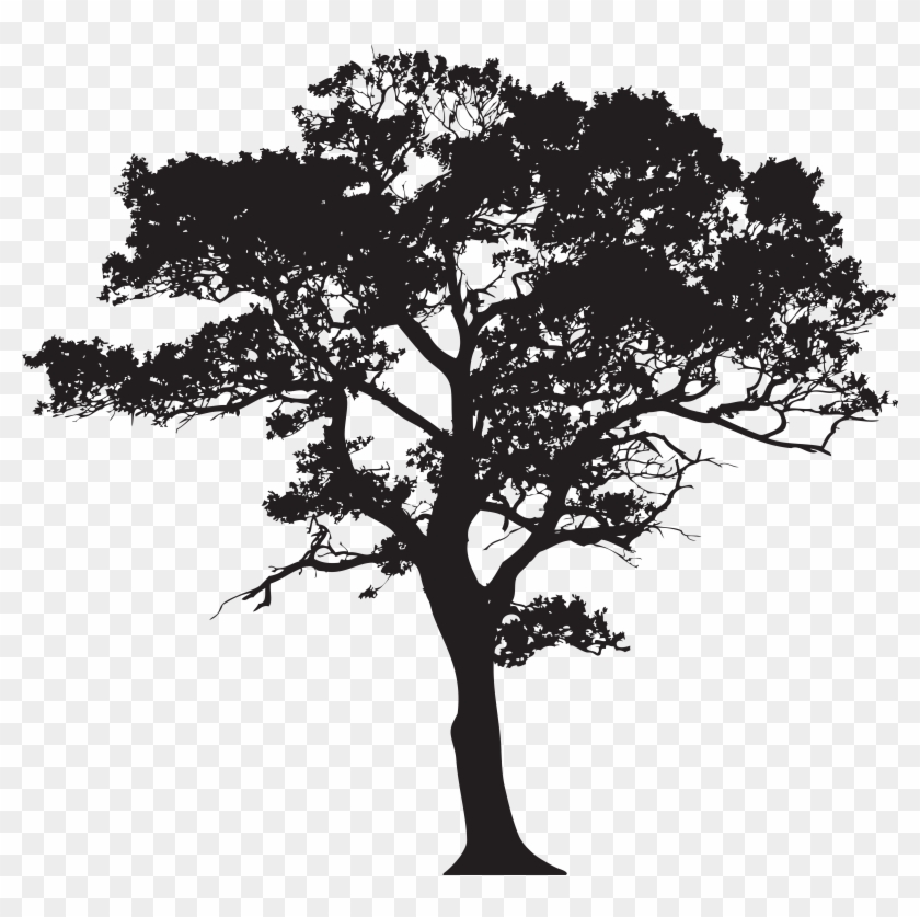 Black And White Tree Wallpapers