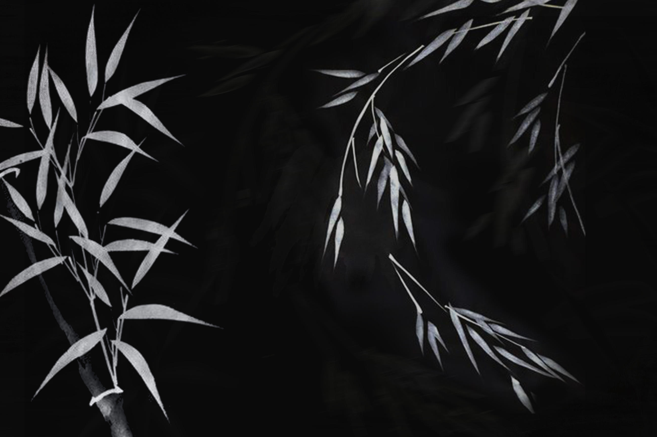 Black Bamboo Wallpapers