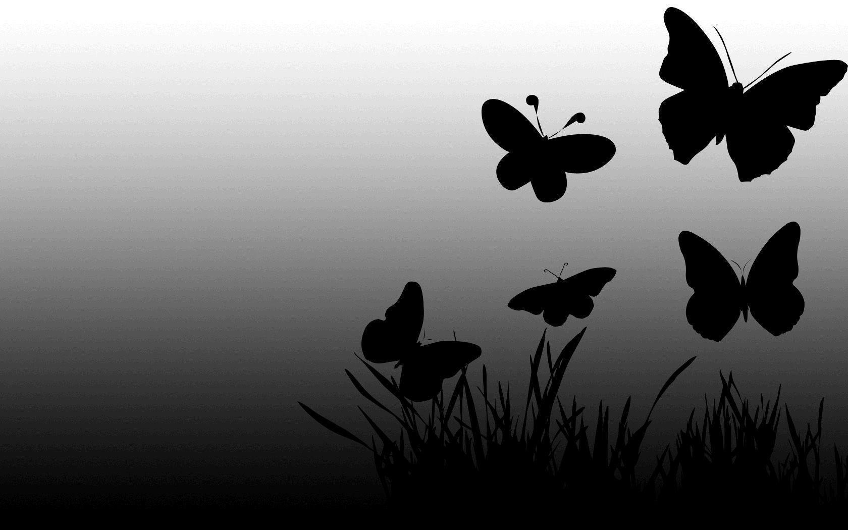 Black Butterfly Wallpapers