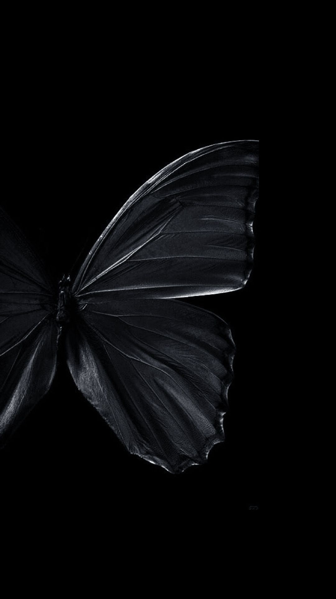 Black Butterfly Wallpapers