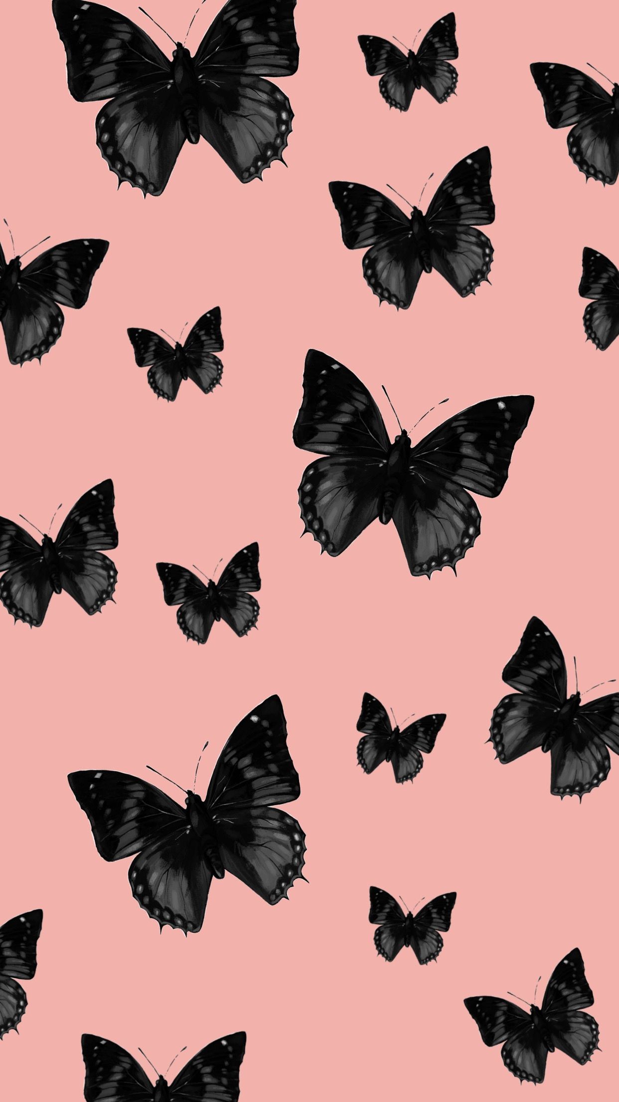 Black Butterfly Wallpapers