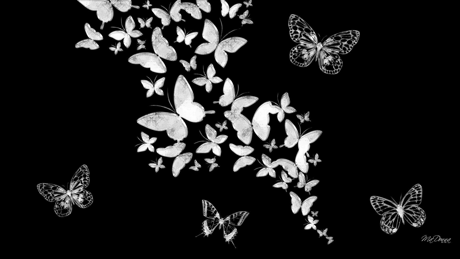 Black Butterfly Wallpapers