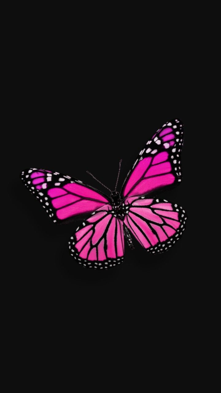 Black Butterfly Wallpapers