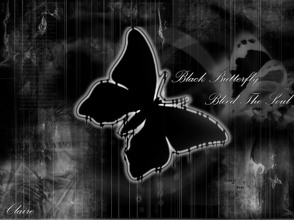 Black Butterfly Wallpapers