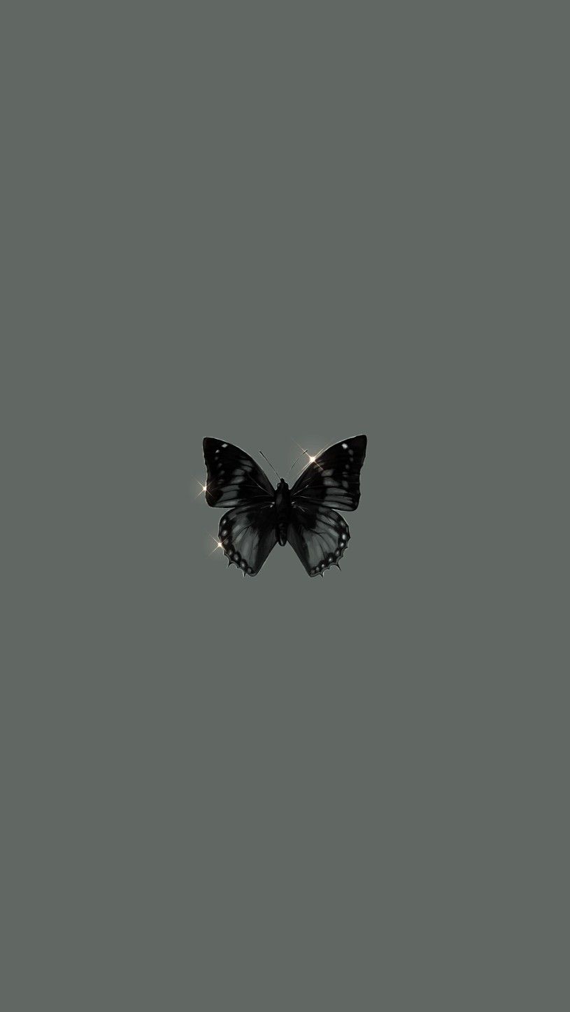 Black Butterfly Wallpapers