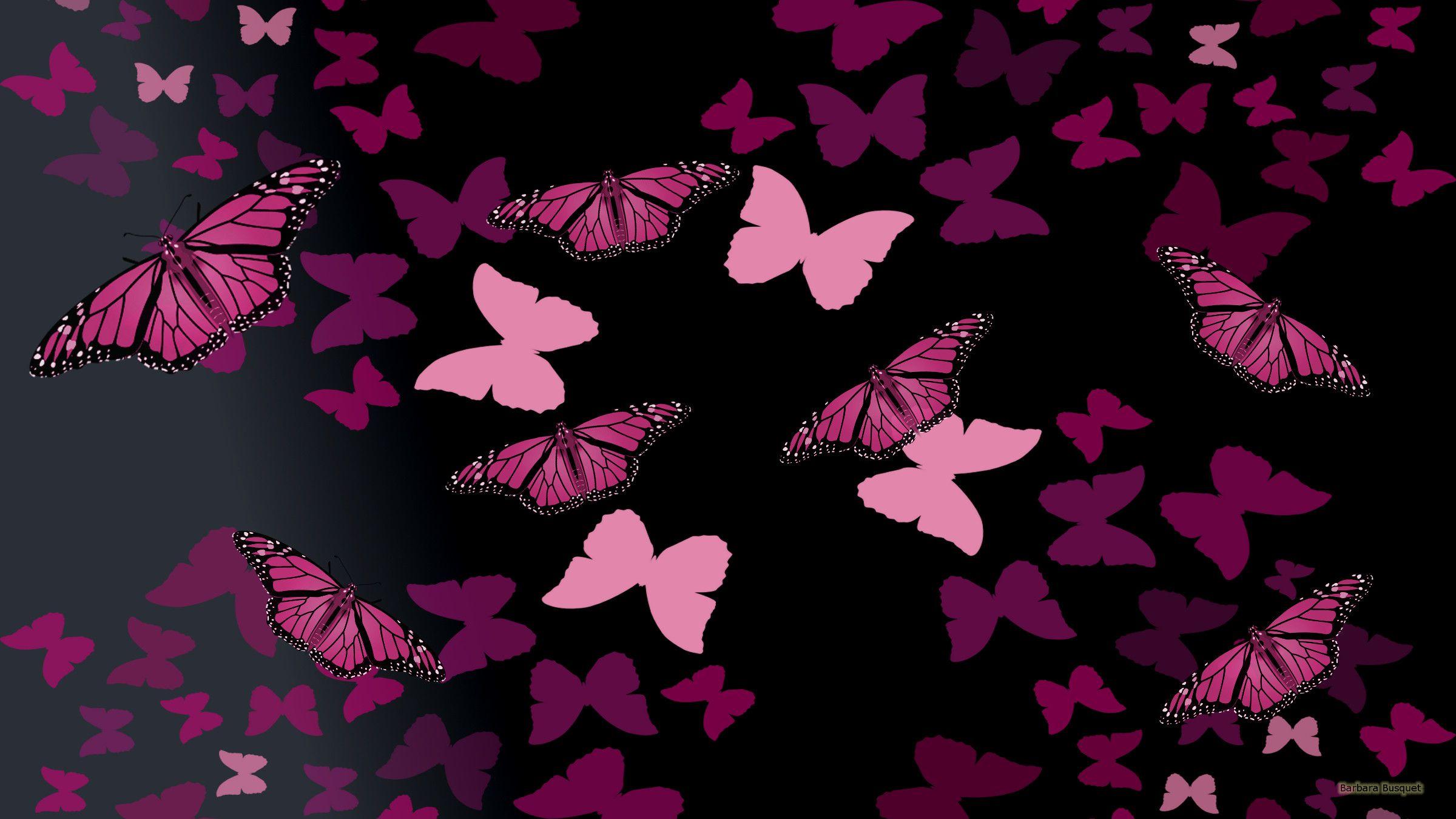 Black Butterfly Wallpapers