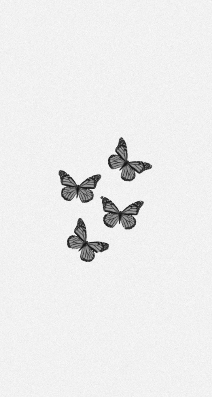 Black Butterfly Wallpapers