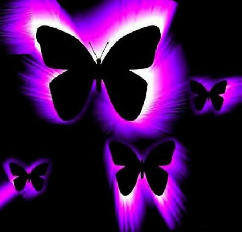 Black Butterfly Wallpapers