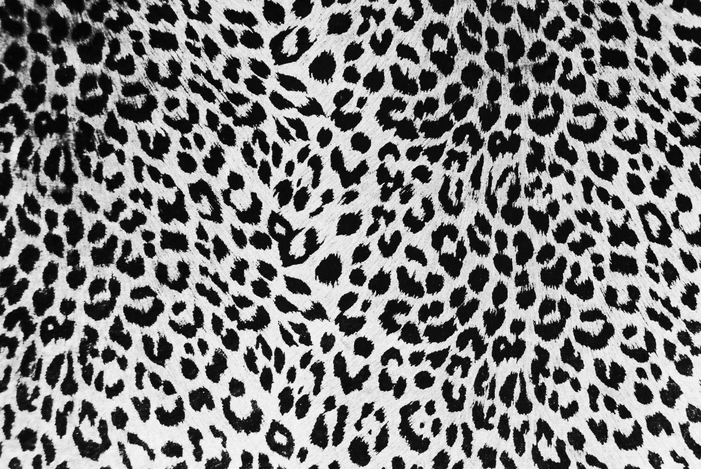 Black Cheetah Wallpapers