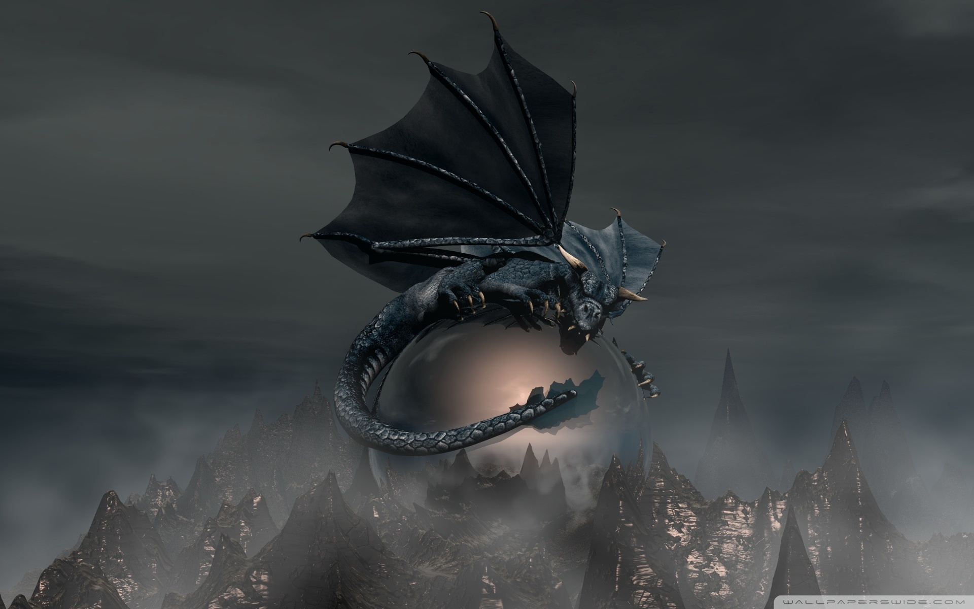 Black Dragon Wallpapers