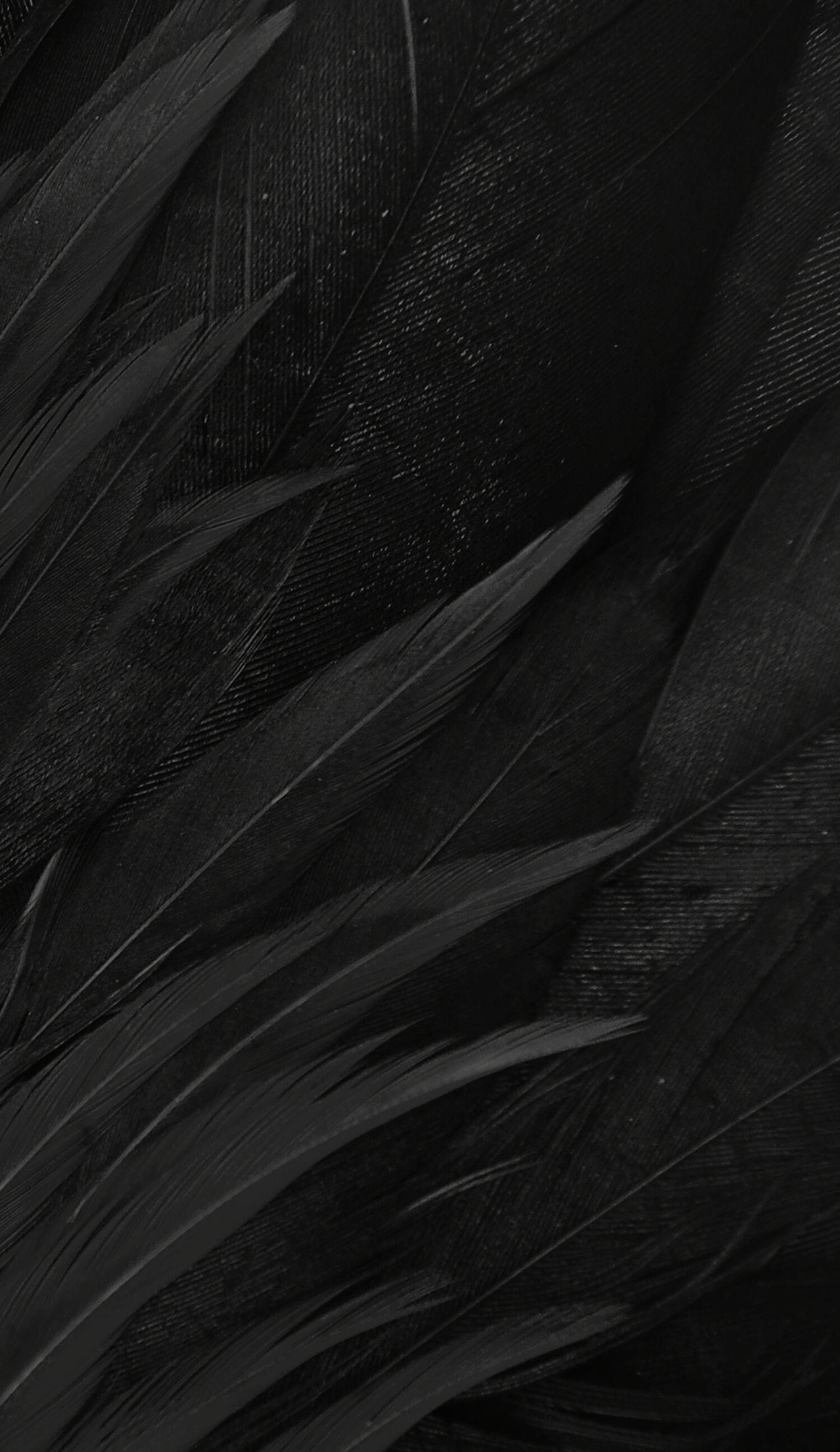 Black Feathers Wallpapers