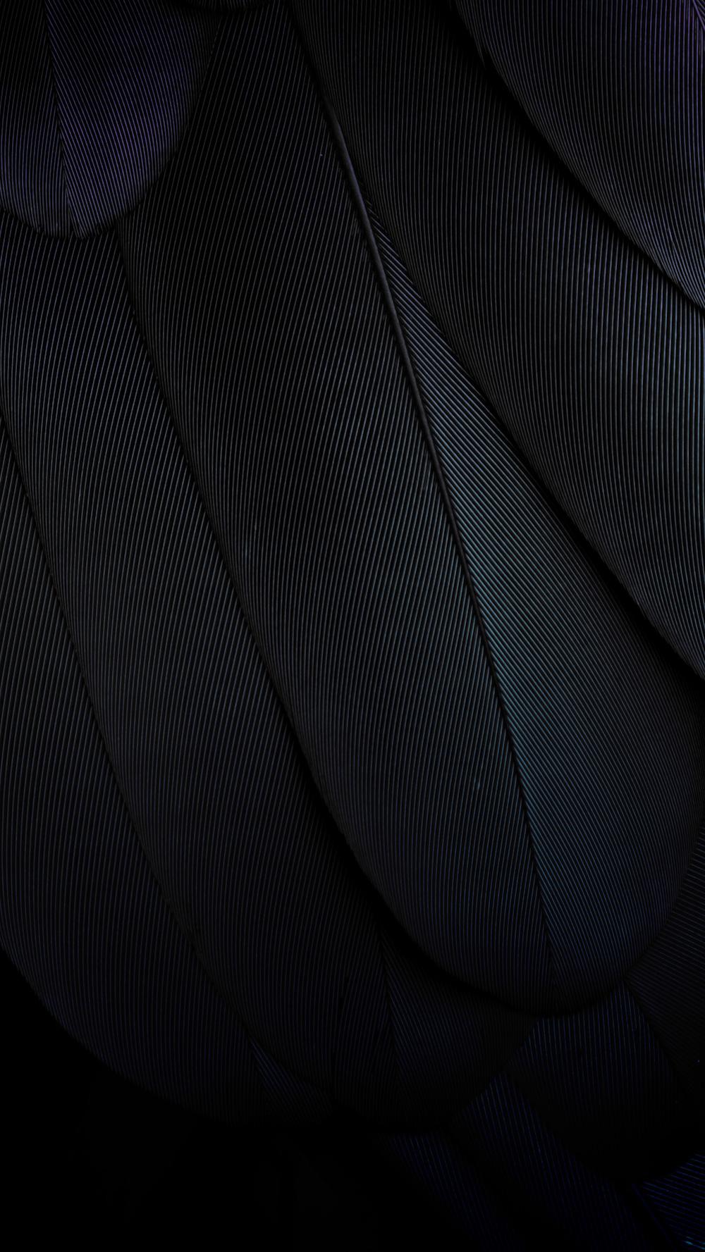 Black Feathers Wallpapers