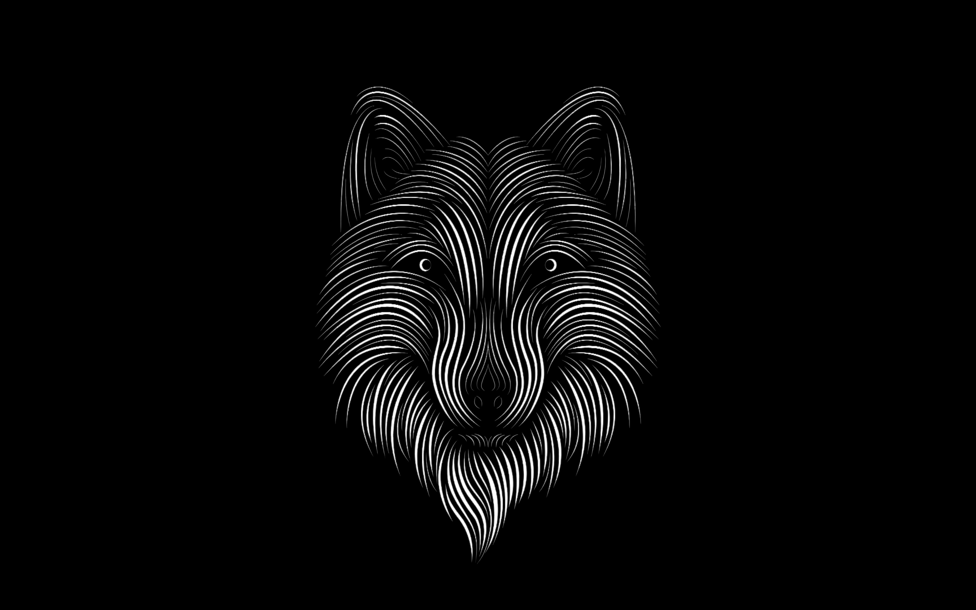 Black Fox Wallpapers