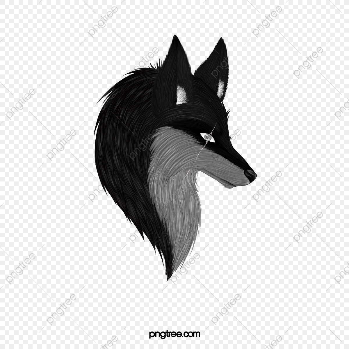 Black Fox Wallpapers