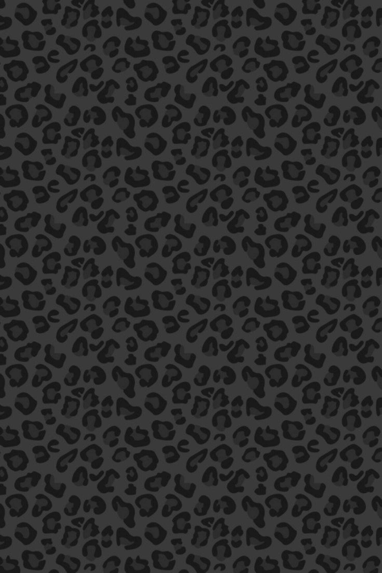 Black Leopard Iphone Wallpapers