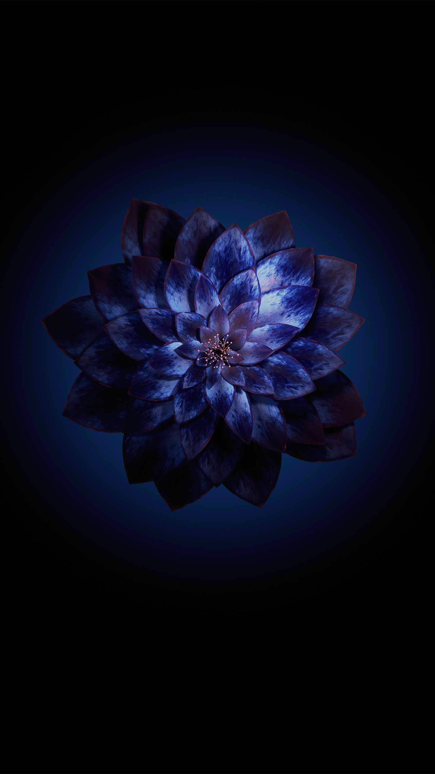 Black Lotus Wallpapers