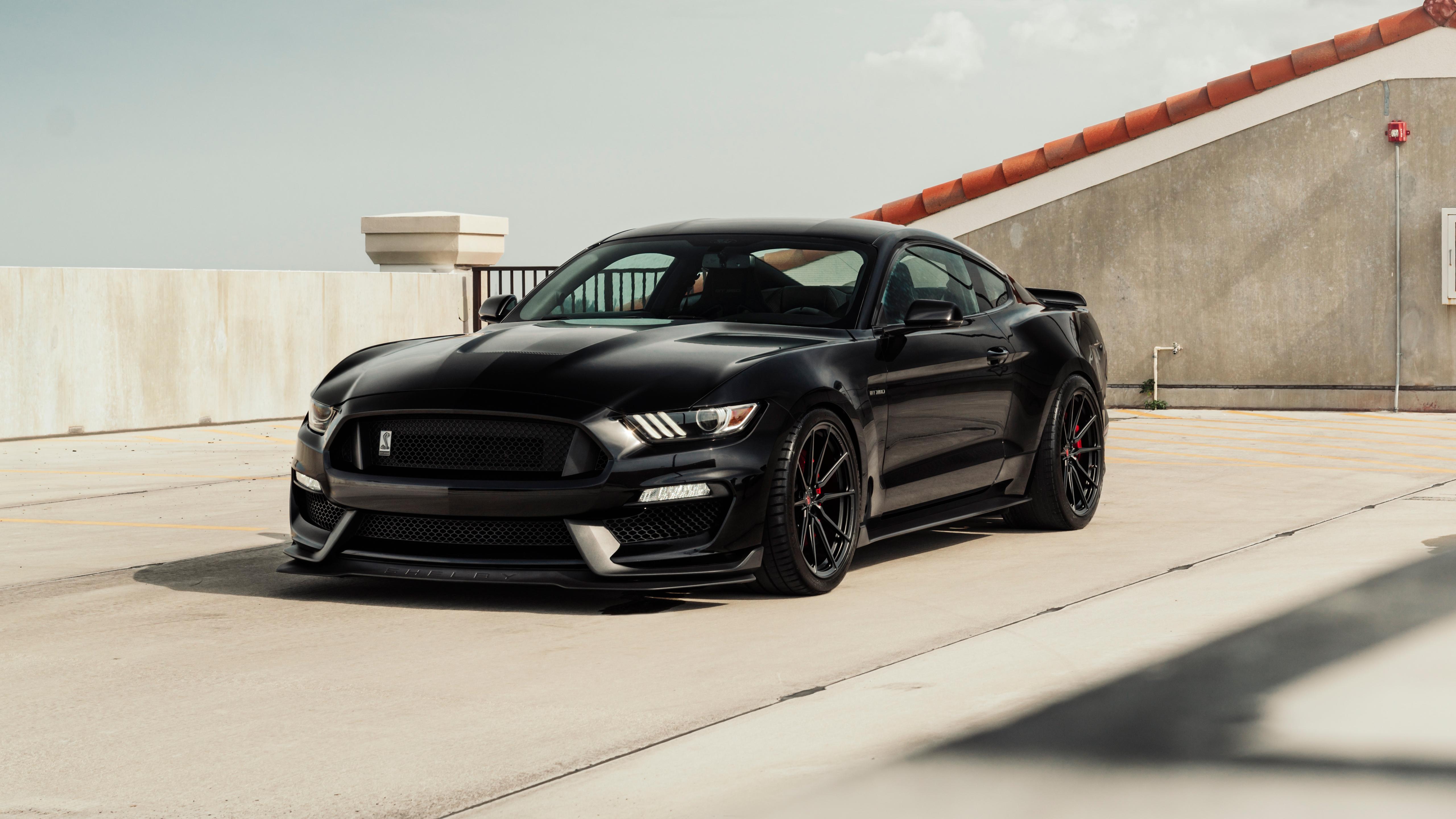 Black Mustang Wallpapers