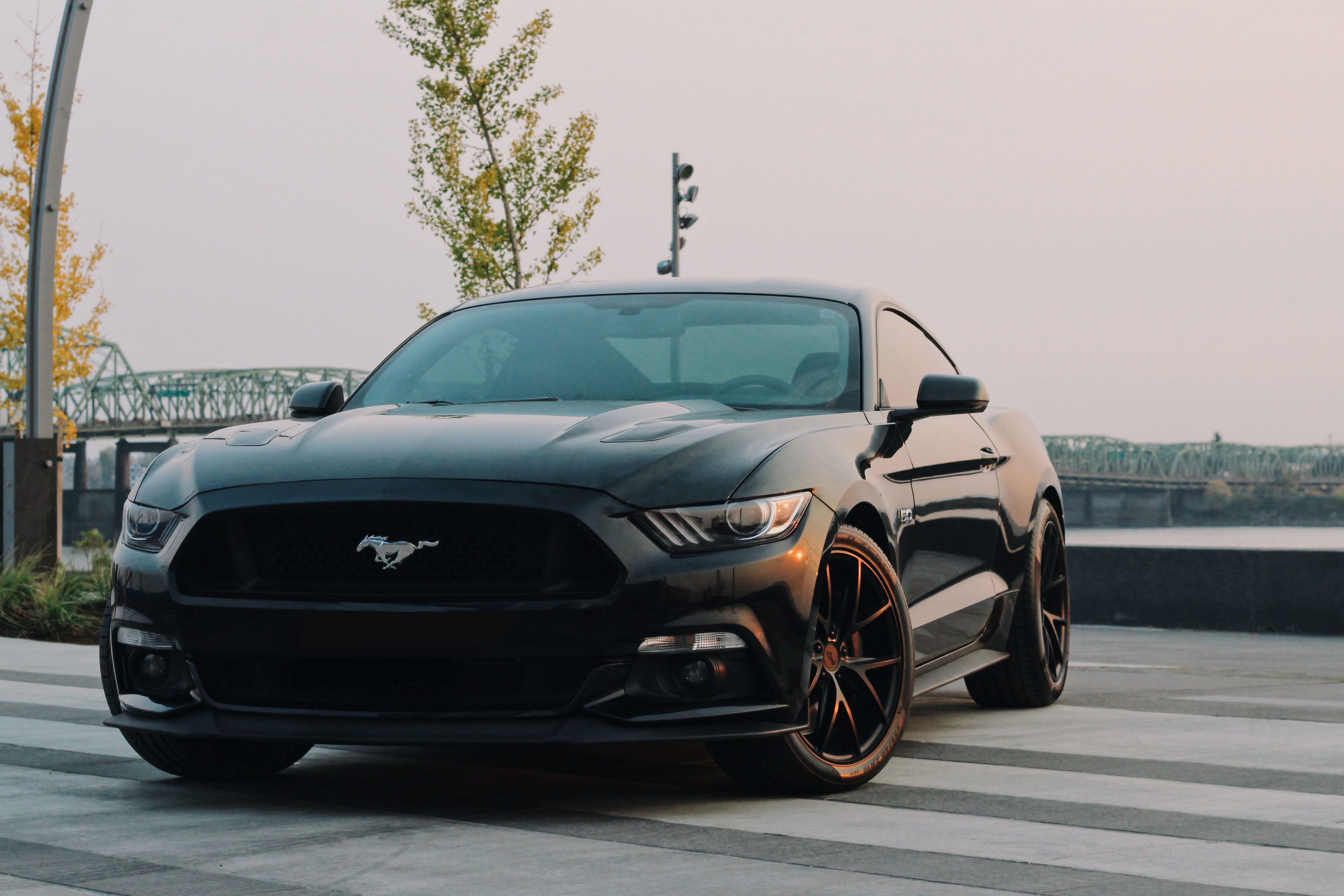 Black Mustang Wallpapers