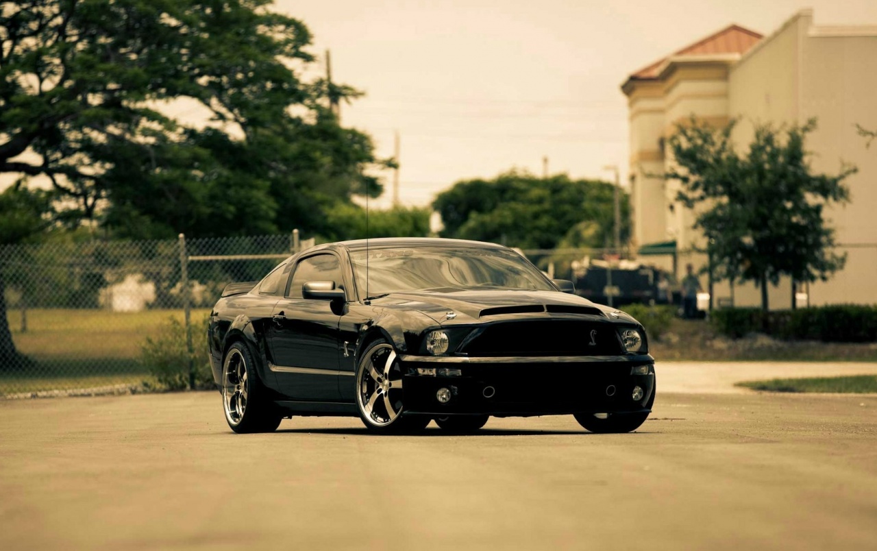 Black Mustang Wallpapers