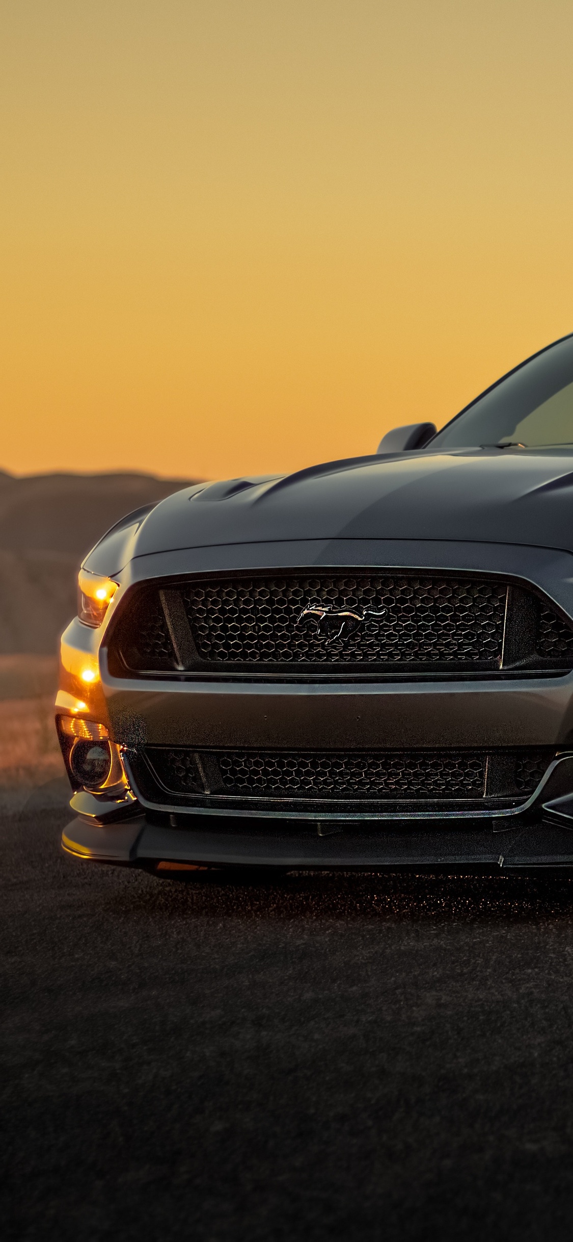 Black Mustang Wallpapers