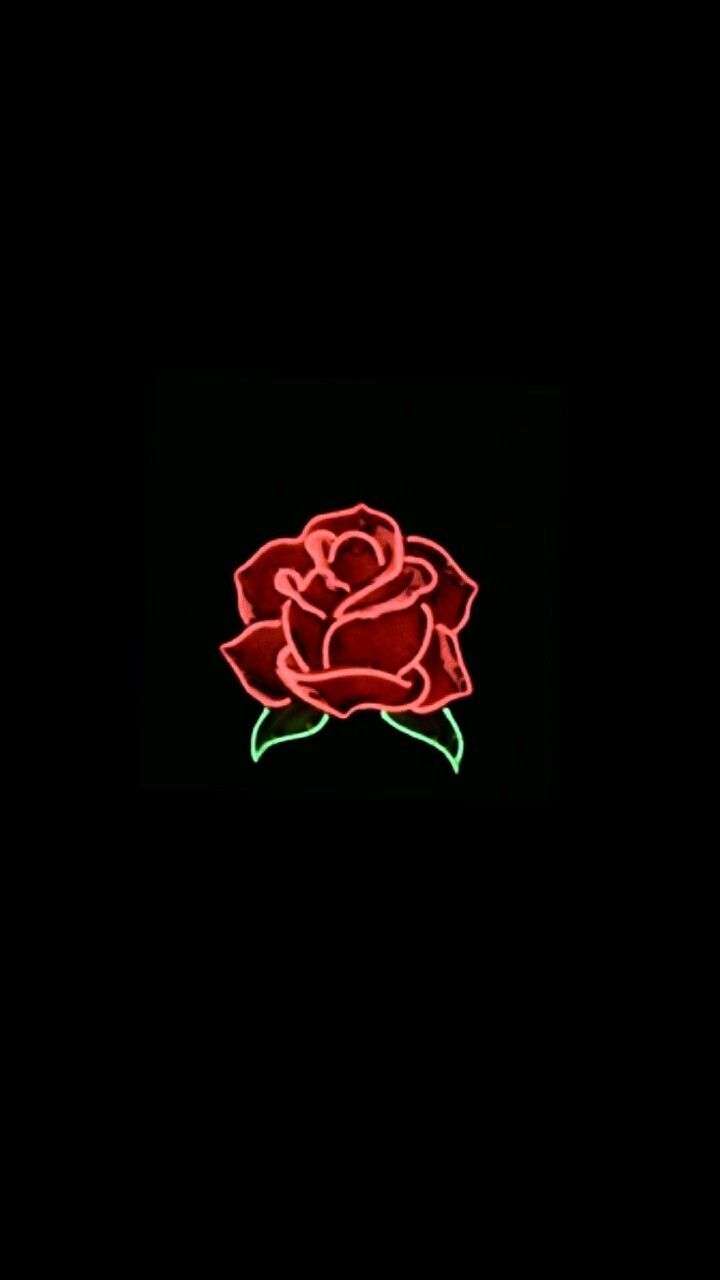 Black Neon Rose Wallpapers