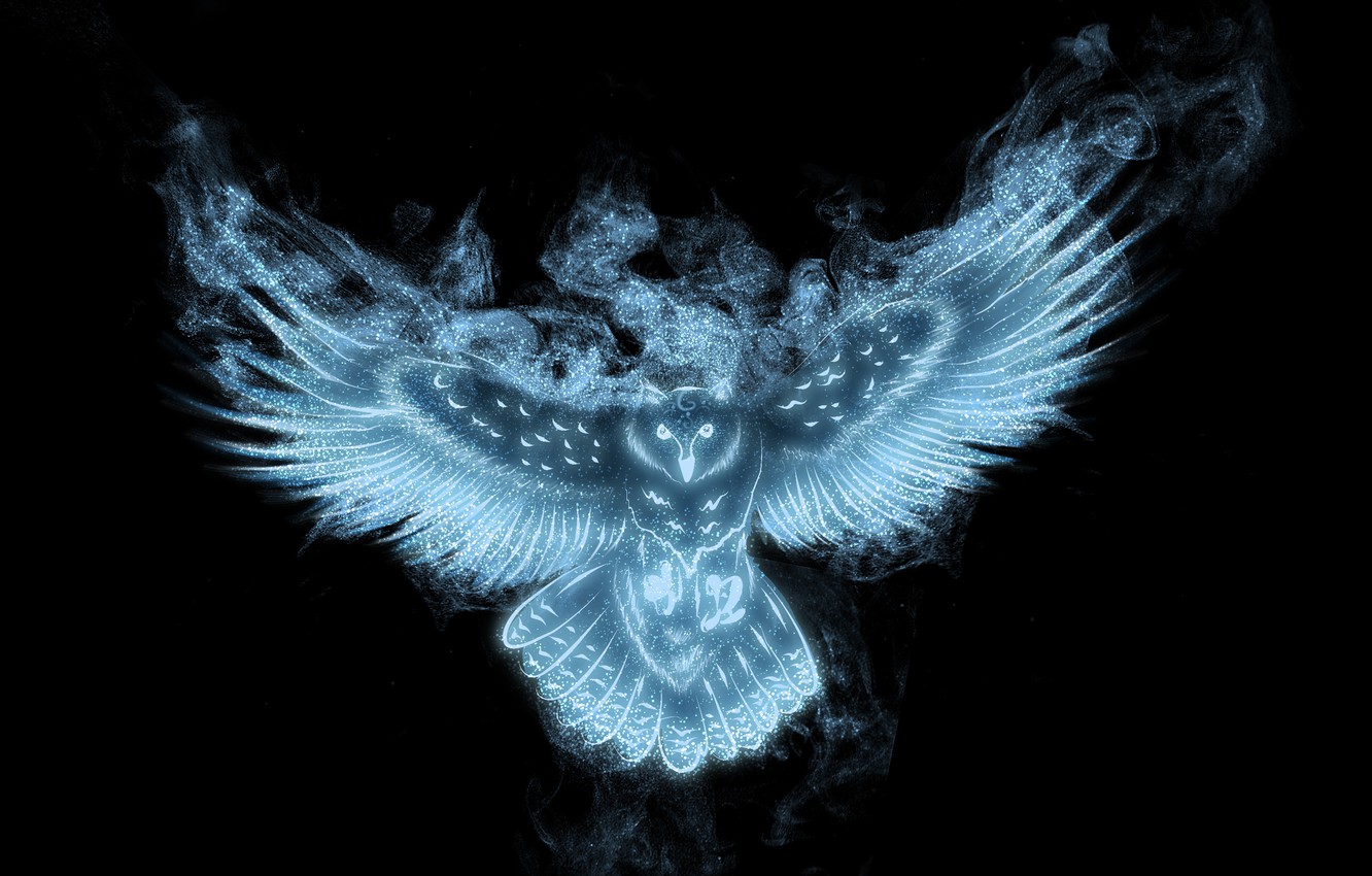 Black Owl Art Wallpapers