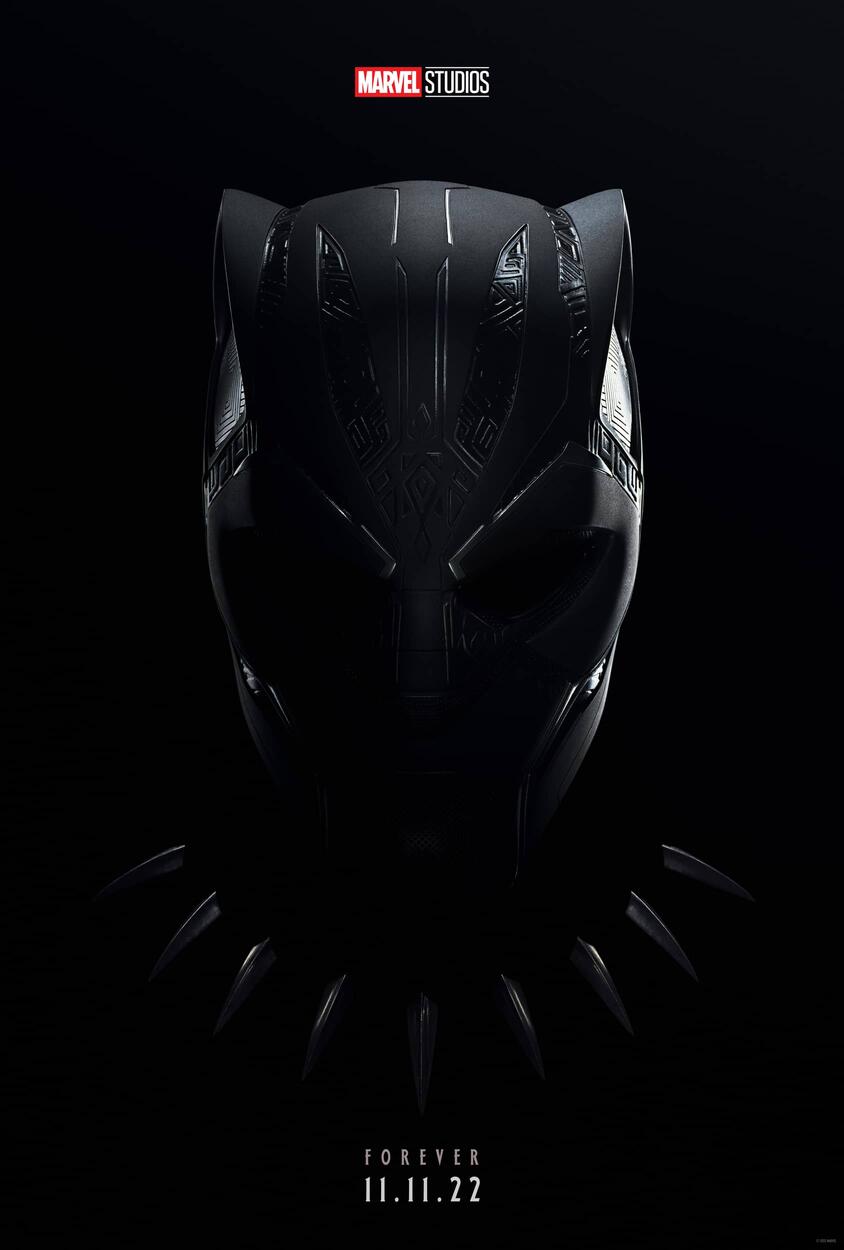 Black Panther Wakanda Forever Pose Wallpapers