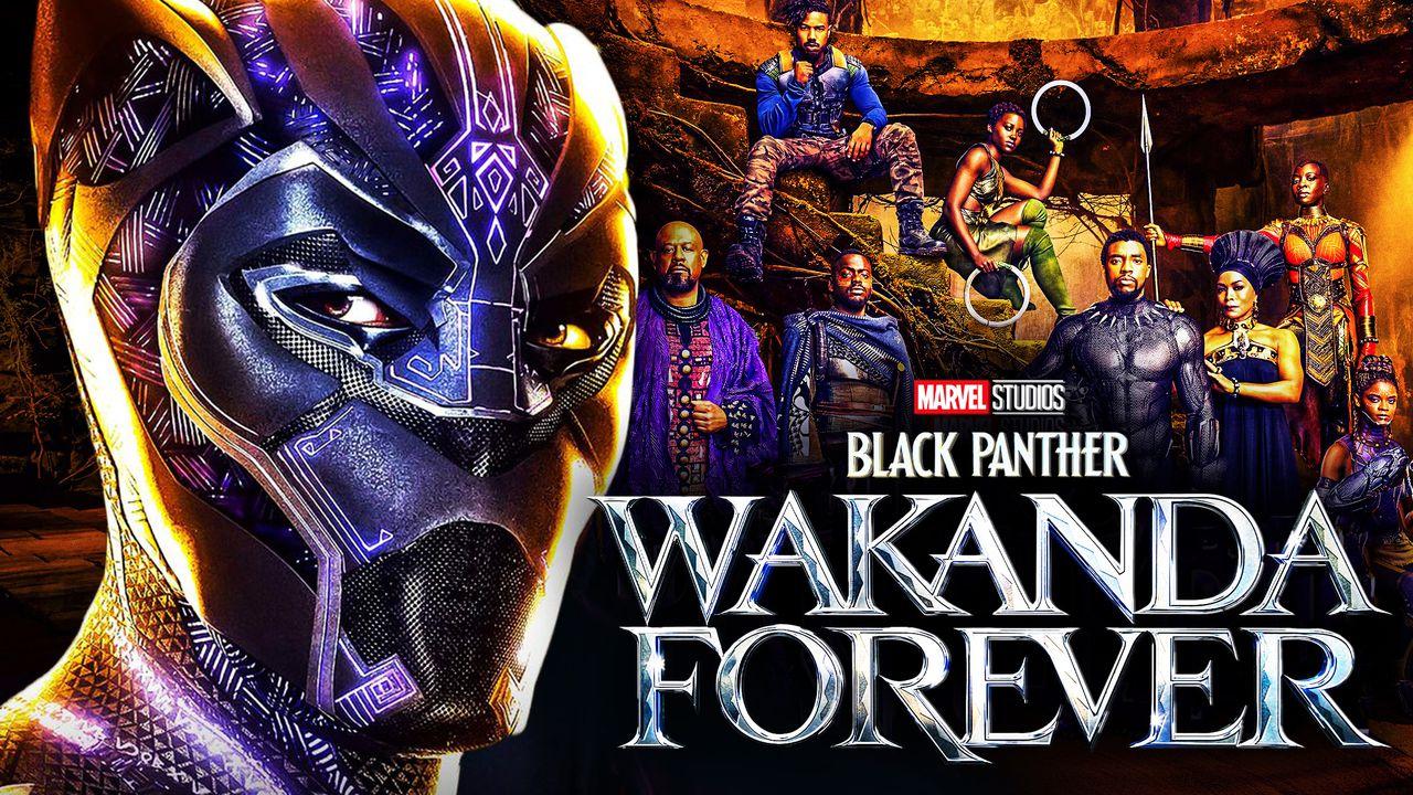 Black Panther Wakanda Forever Pose Wallpapers