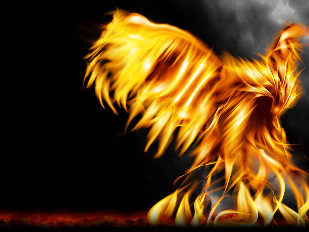 Black Phoenix Wallpapers