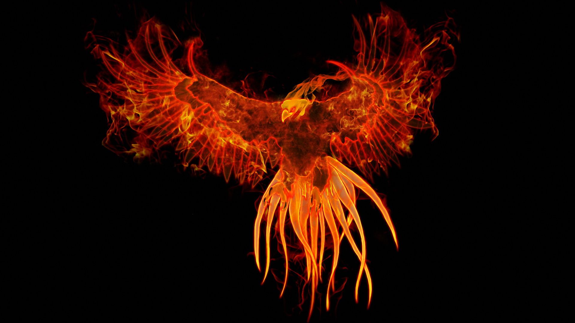 Black Phoenix Wallpapers