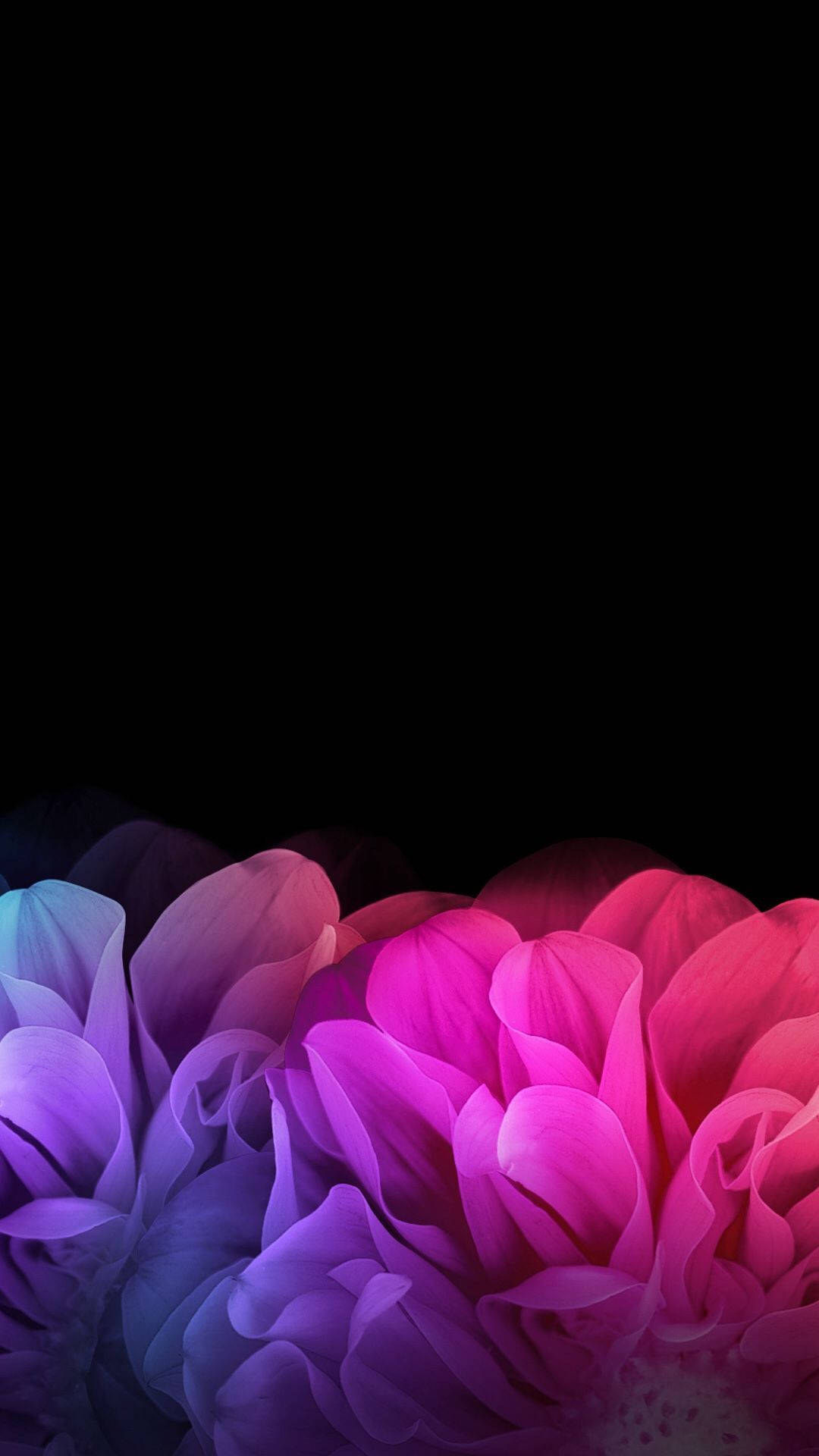 Black Pink Floral Wallpapers